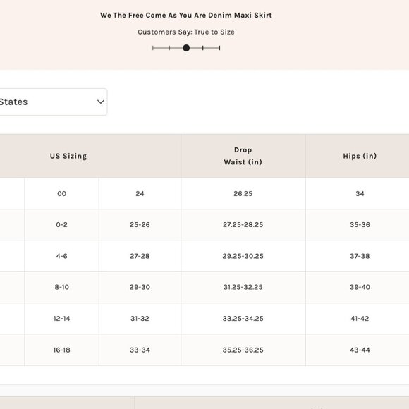 Free People We The Free Come As You Are Denim Maxi Skirt NWT Wisp Ivory Sz 4 - Picture 4 of 9